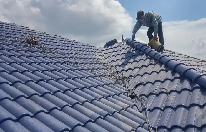 Bánh bông lan trứng muối Đà Nẵng Bánh bông lan trứng muối Đà Nẵng 3