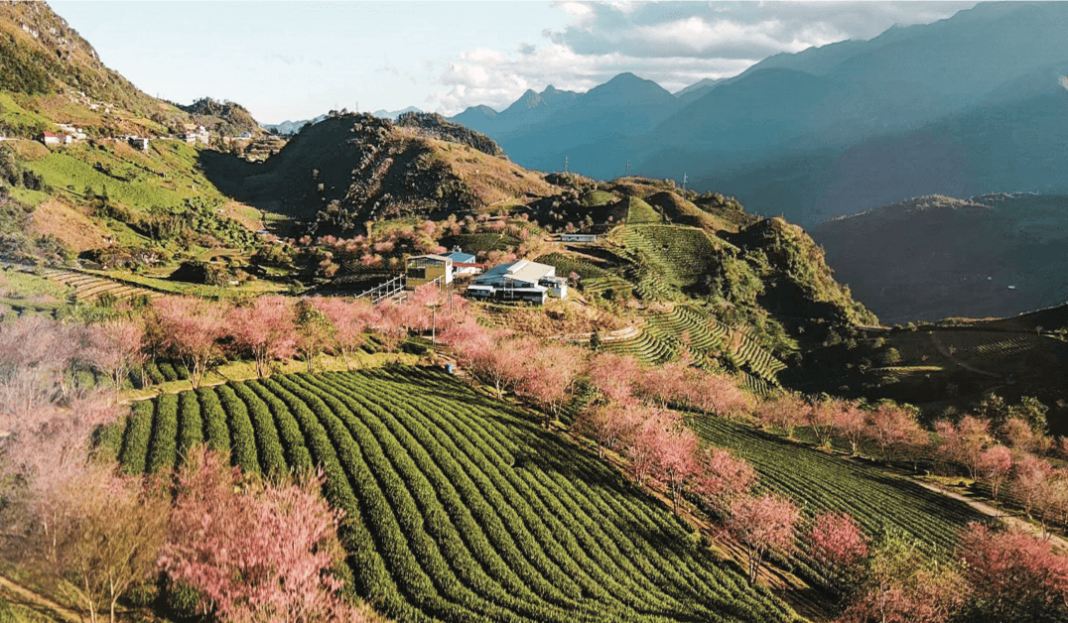 le-hoi-mua-xuan-sapa4 Lễ hội mùa xuân SaPa