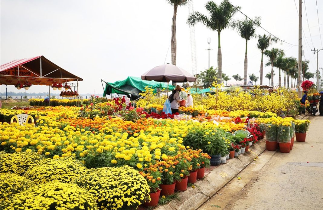 Cẩm Nang Cho Mùa Xuân Trọn Vẹn Cẩm Nang Cho Mùa Xuân Trọn Vẹn