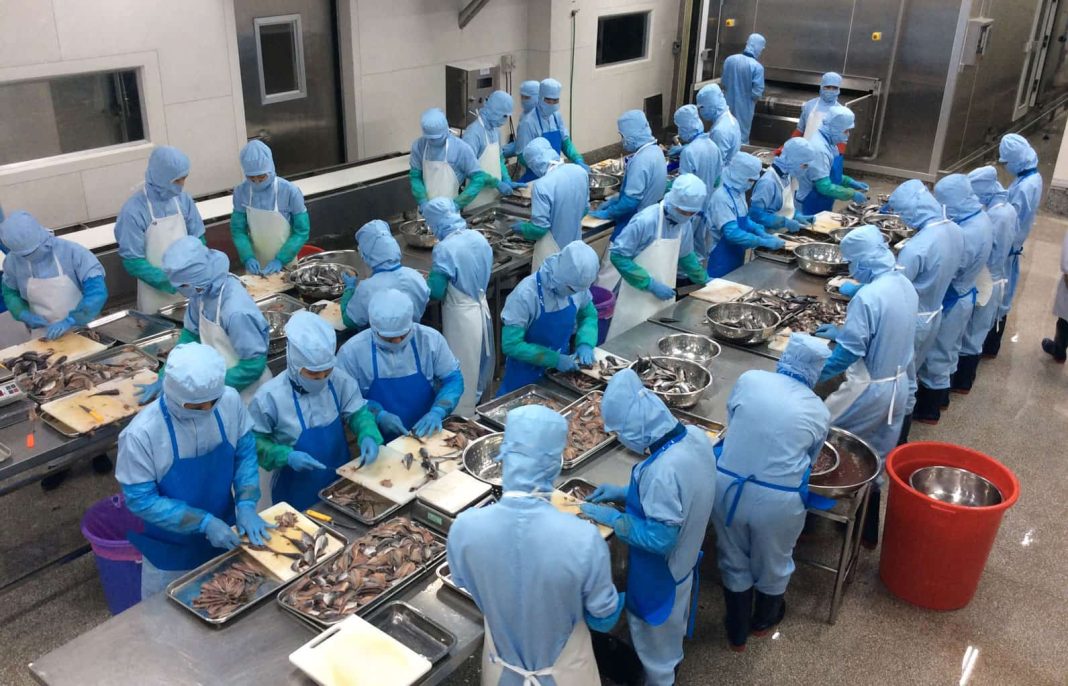 Khám Phá Top 5 Công Ty Cung Ứng Nhân Lực Khám Phá Top 5 Công Ty Cung Ứng Nhân Lực Tại Bắc Ninh