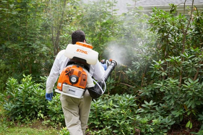 Top 4 Địa Chỉ Cung Cấp Dịch Vụ Phun Thuốc Muỗi Tại Vũng Tàu