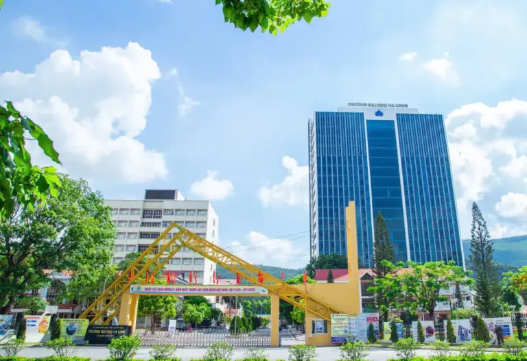 Top 5 Đơn Vị Học Tin Học Văn Phòng Quảng Ninh Uy Tín