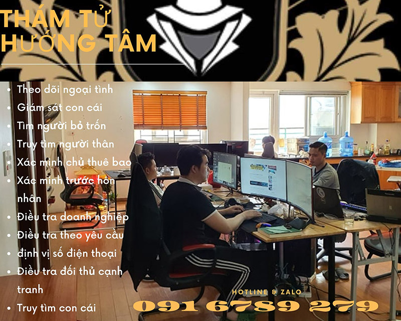 công ty thám tử Việt Nam