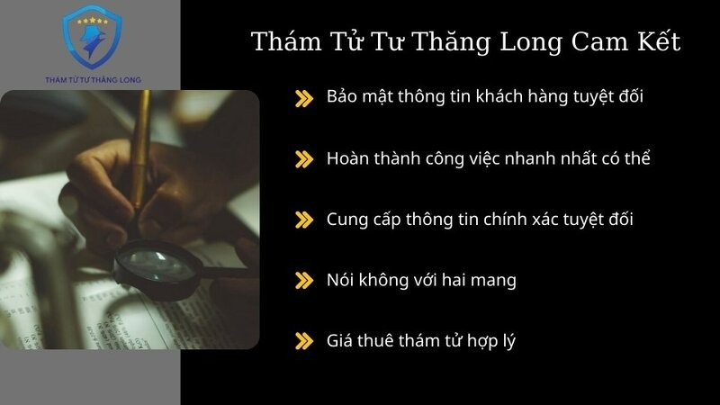 công ty thám tử Việt Nam