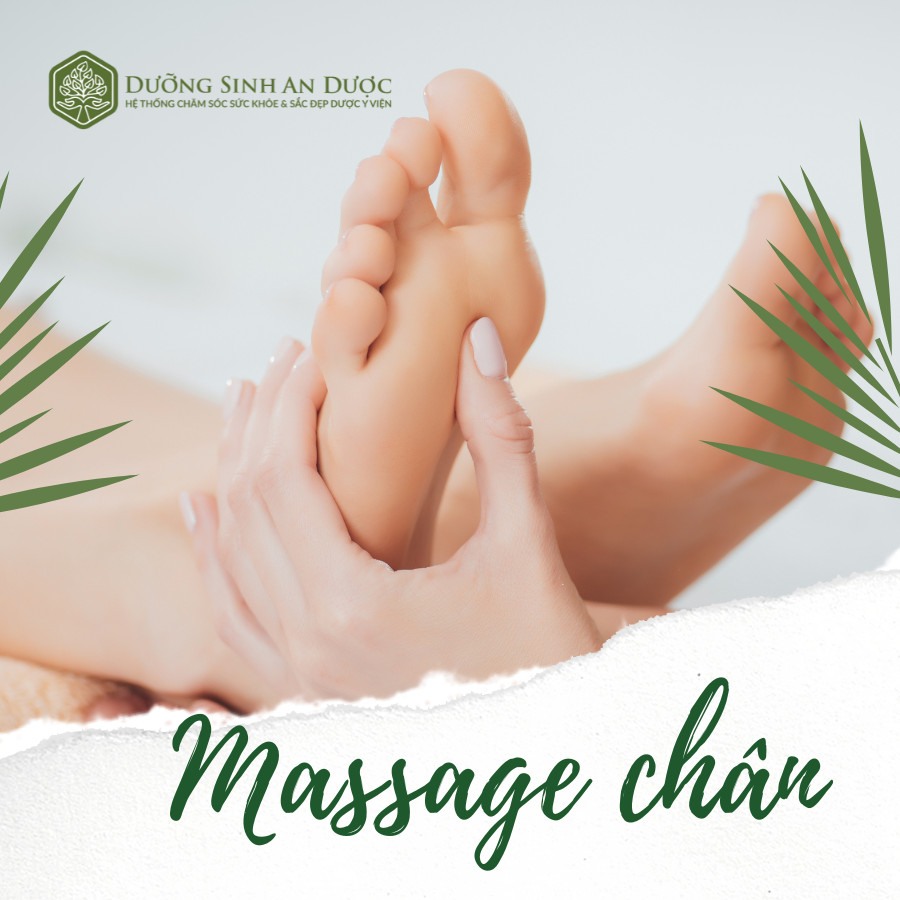 Dưỡng Sinh An Dược 