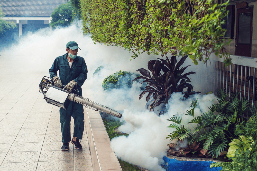 dịch vụ phun thuốc muỗi tại Vũng Tàu dịch vụ phun thuốc muỗi chất lượng