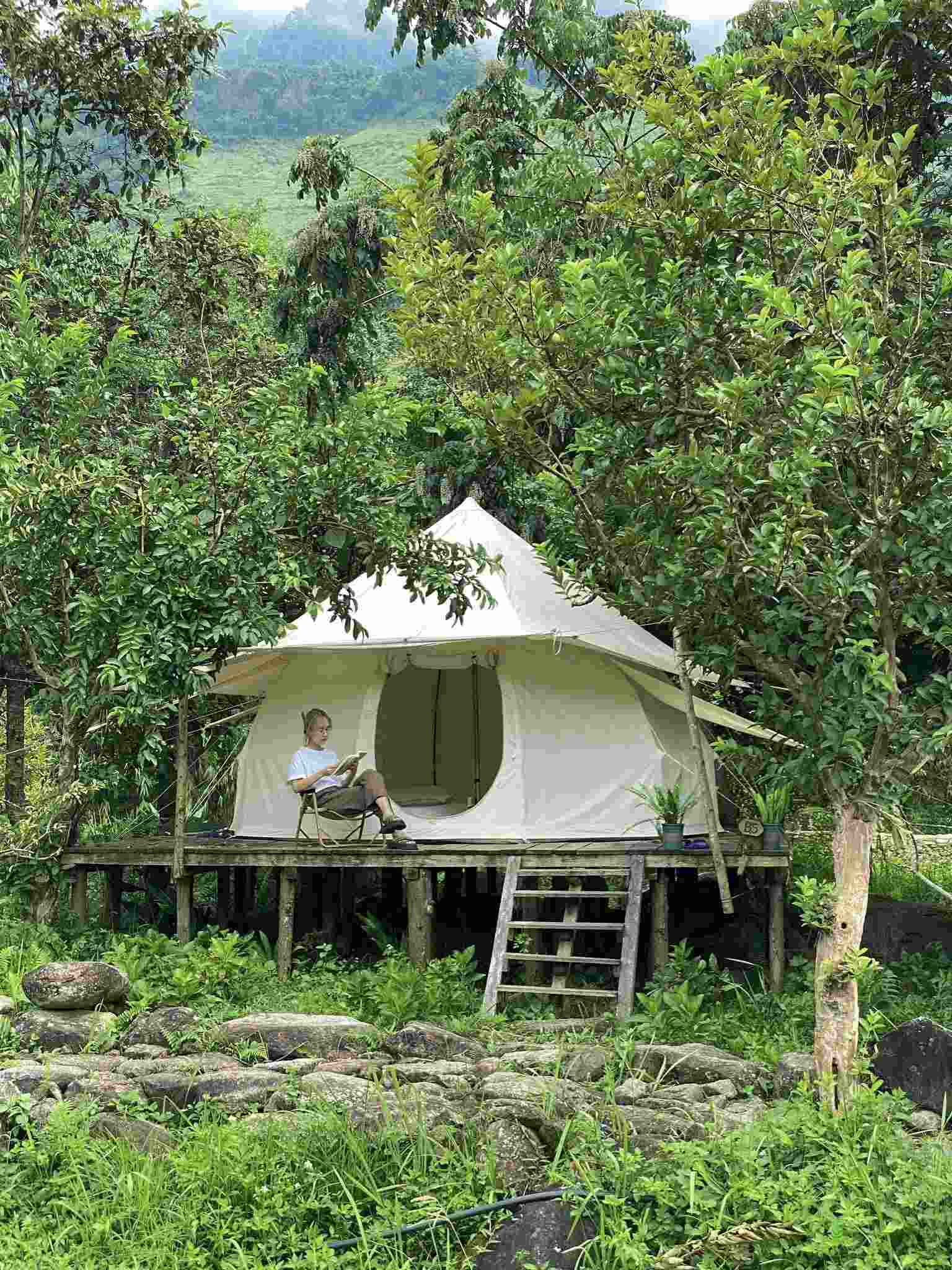 Khu Cắm Trại Và Nướng BBQ Tại Sapa Wecamp