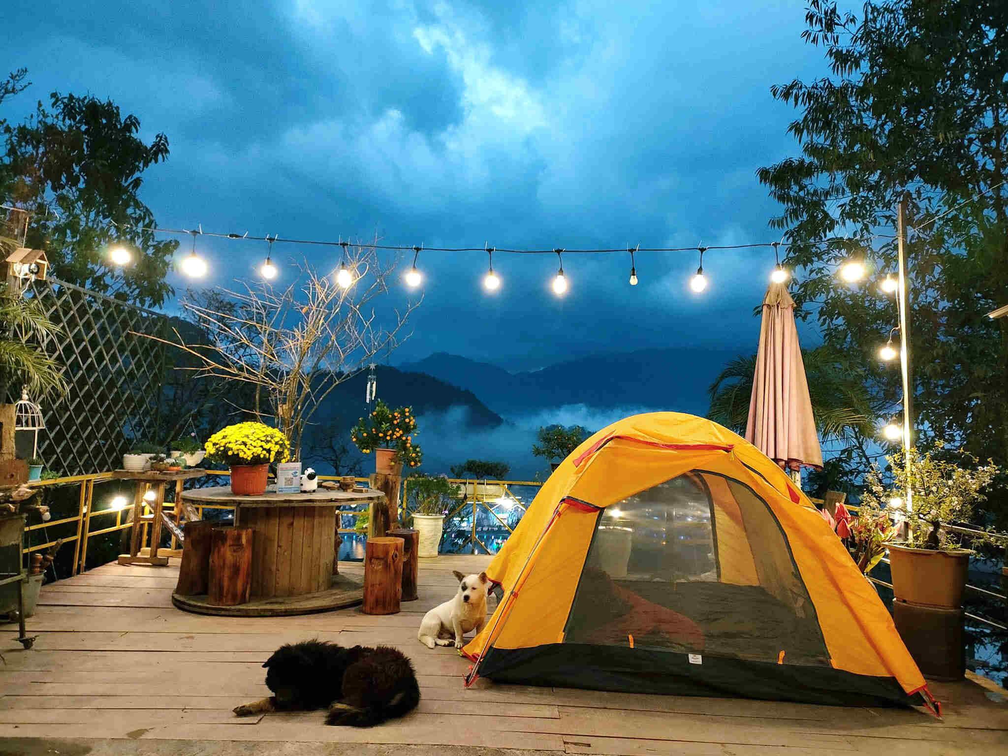 Khu Cắm Trại Và Nướng BBQ Tại Sapa Gió Camping & Homestay