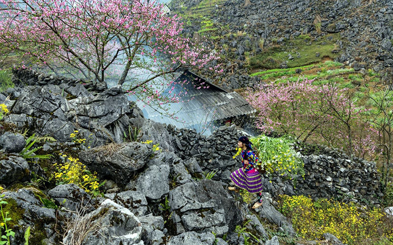 Lễ hội xuân tại Hà Giang