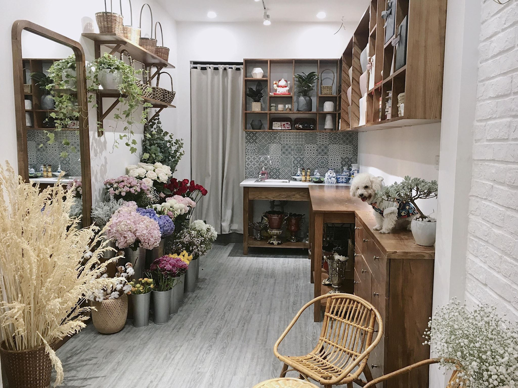 Học Viện No23. Floral