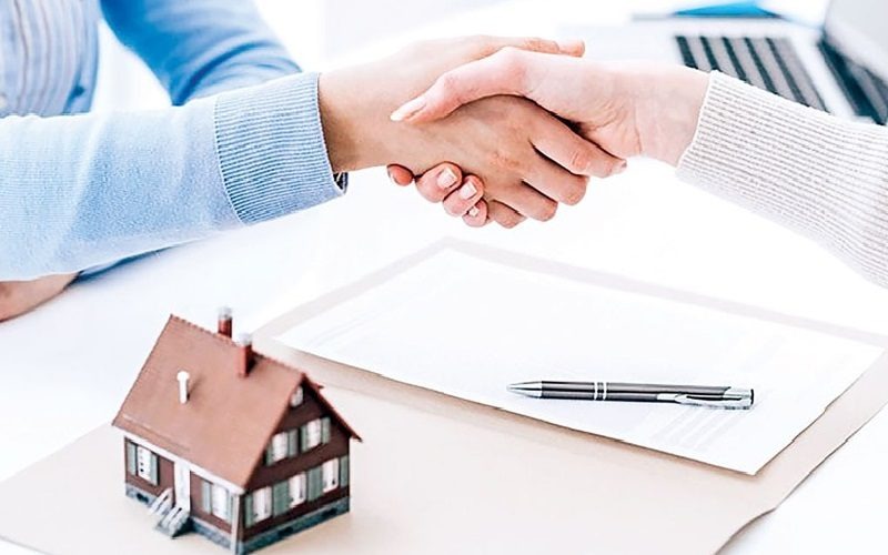 luật sư đất đai Cà Mau luật sư đất đai Cà Mau