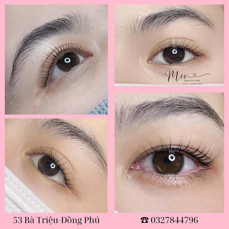 nối mi Quảng Bình