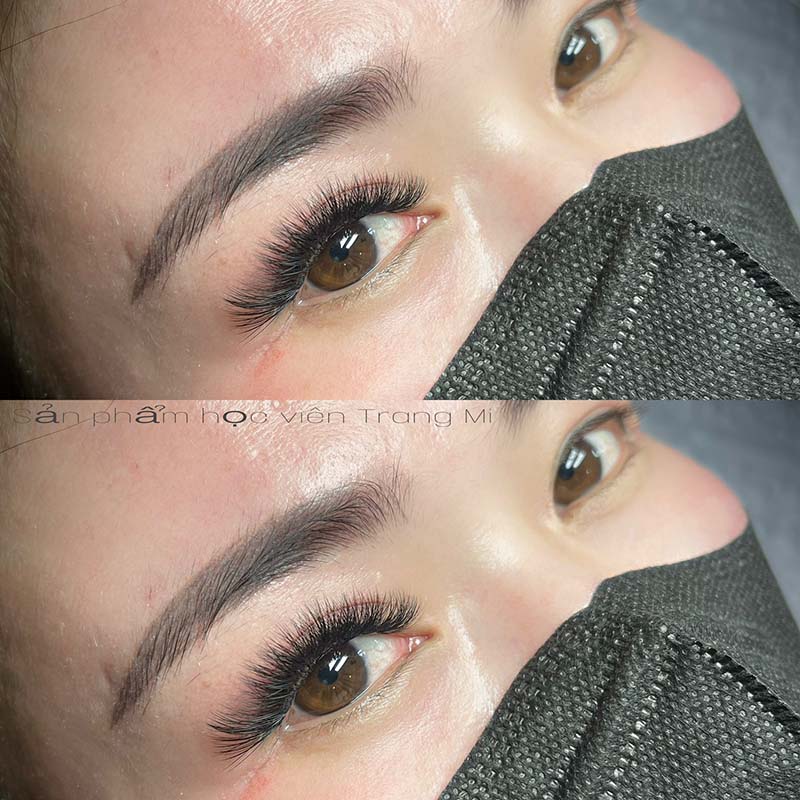 nối mi Quảng Bình