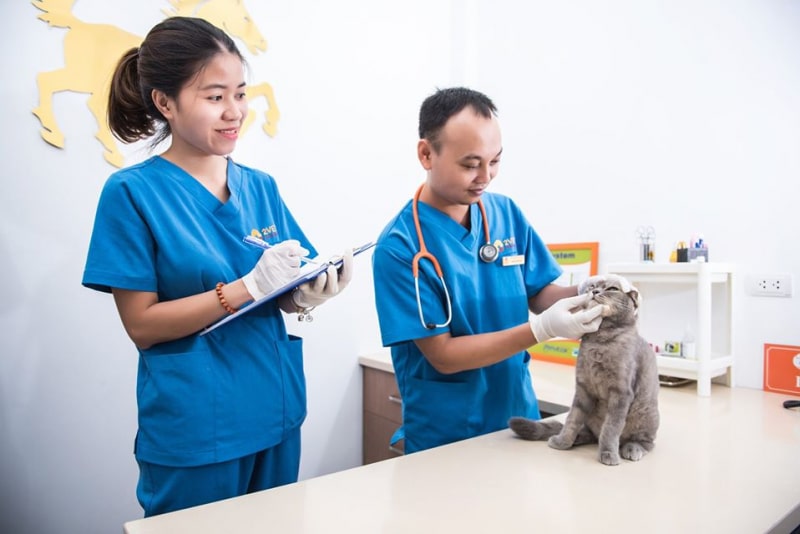 phòng khám thú y Ninh Thuận phòng khám thú y Ninh Thuận