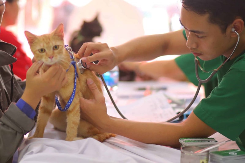 phòng khám thú y Ninh Thuận phòng khám thú y Ninh Thuận