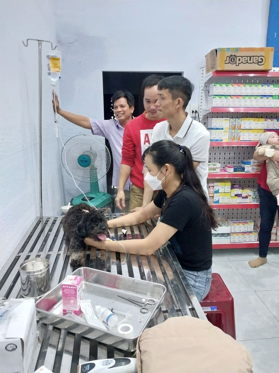phòng khám thú y quảng ngãi Phòng Khám Thú Y Thi Phổ