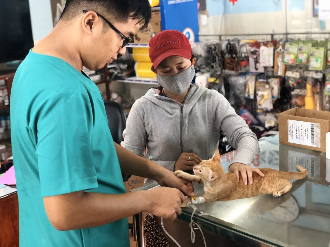 phòng khám thú y quảng ngãi phòng khám thú y quảng ngãi