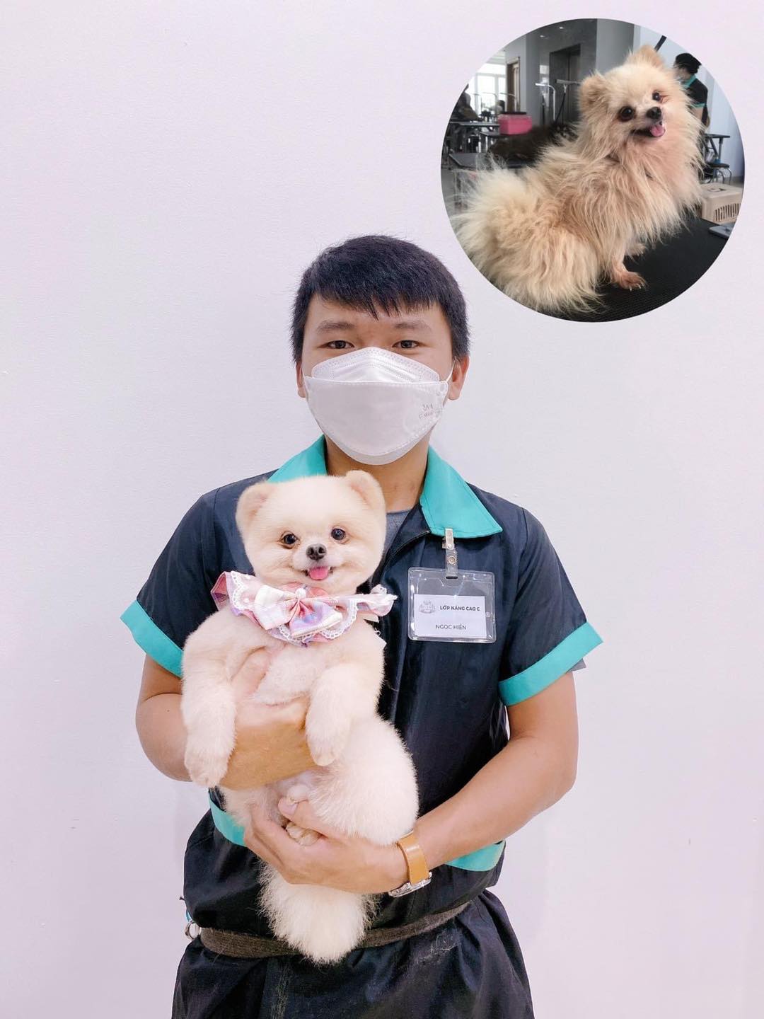 Shop Thú Cưng Bình Phước Sun Béo