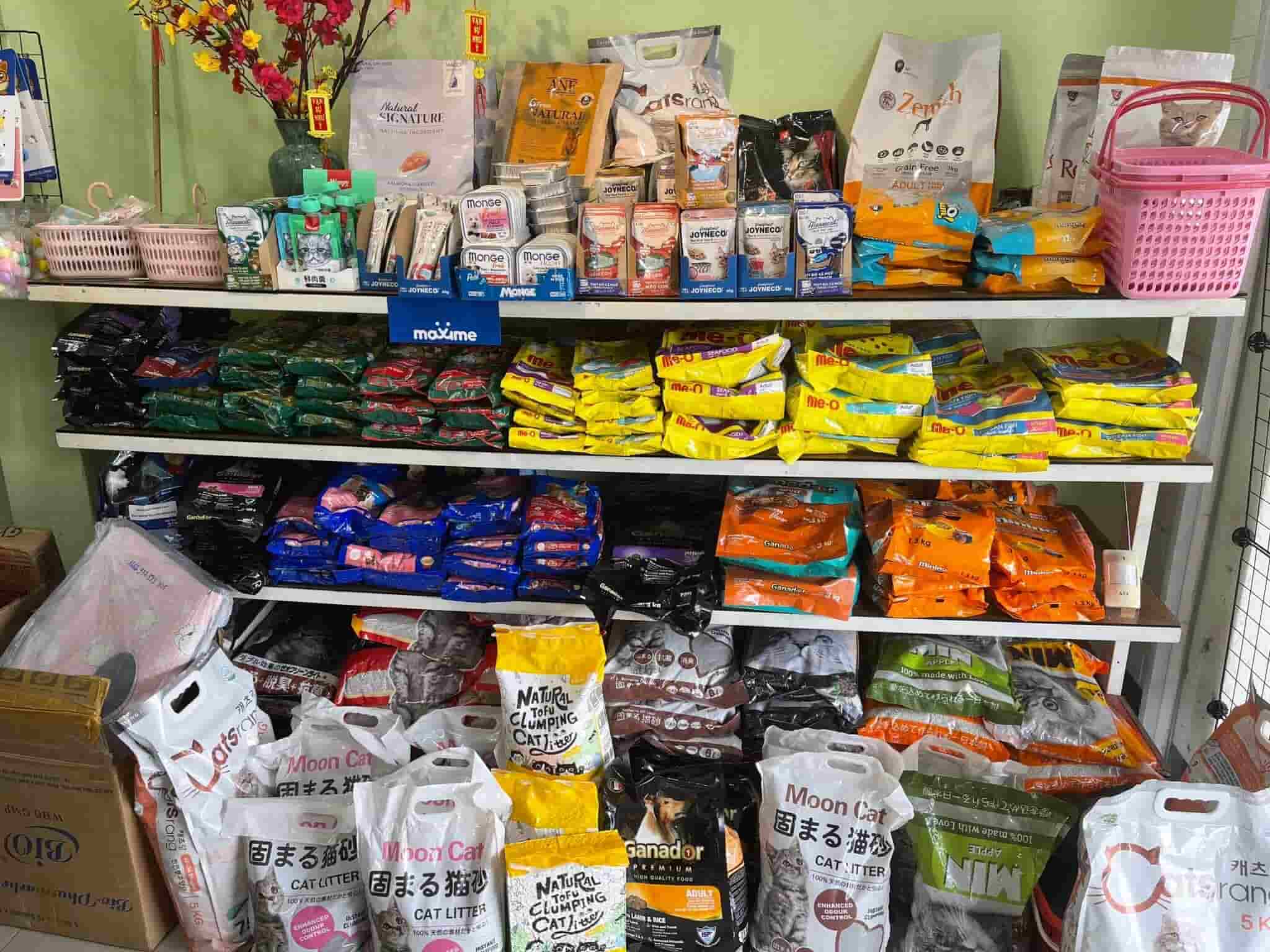 Shop Thú Cưng Bình Phước Shop Thú Cưng Bình Phước