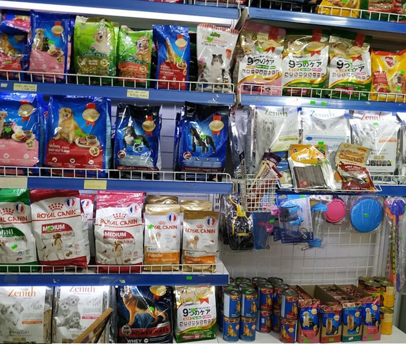 Shop Thú Cưng Bình Phước Shop Thú Cưng Bình Phước