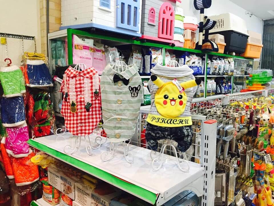 Shop Thú Cưng Bình Phước Tiệm thú cưng Anh Tài