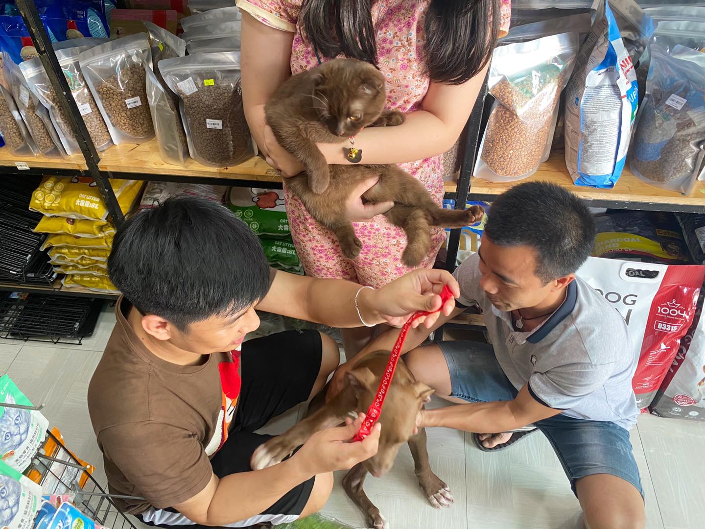 Shop Thú Cưng Quảng Ngãi Shop Thú Cưng Quảng Ngãi