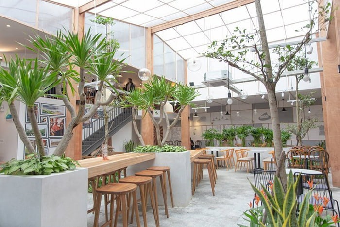 thiết kế quán cafe 100 triệu