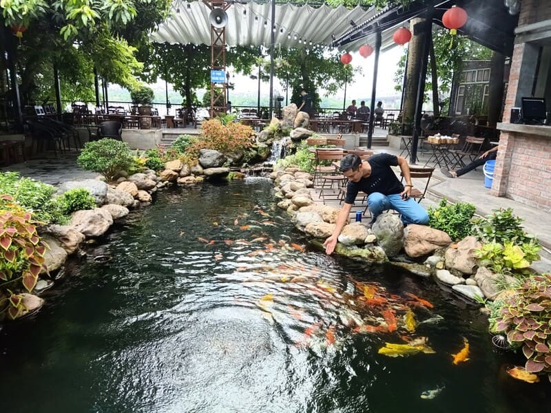 Chi phí mở quán cafe cá Koi