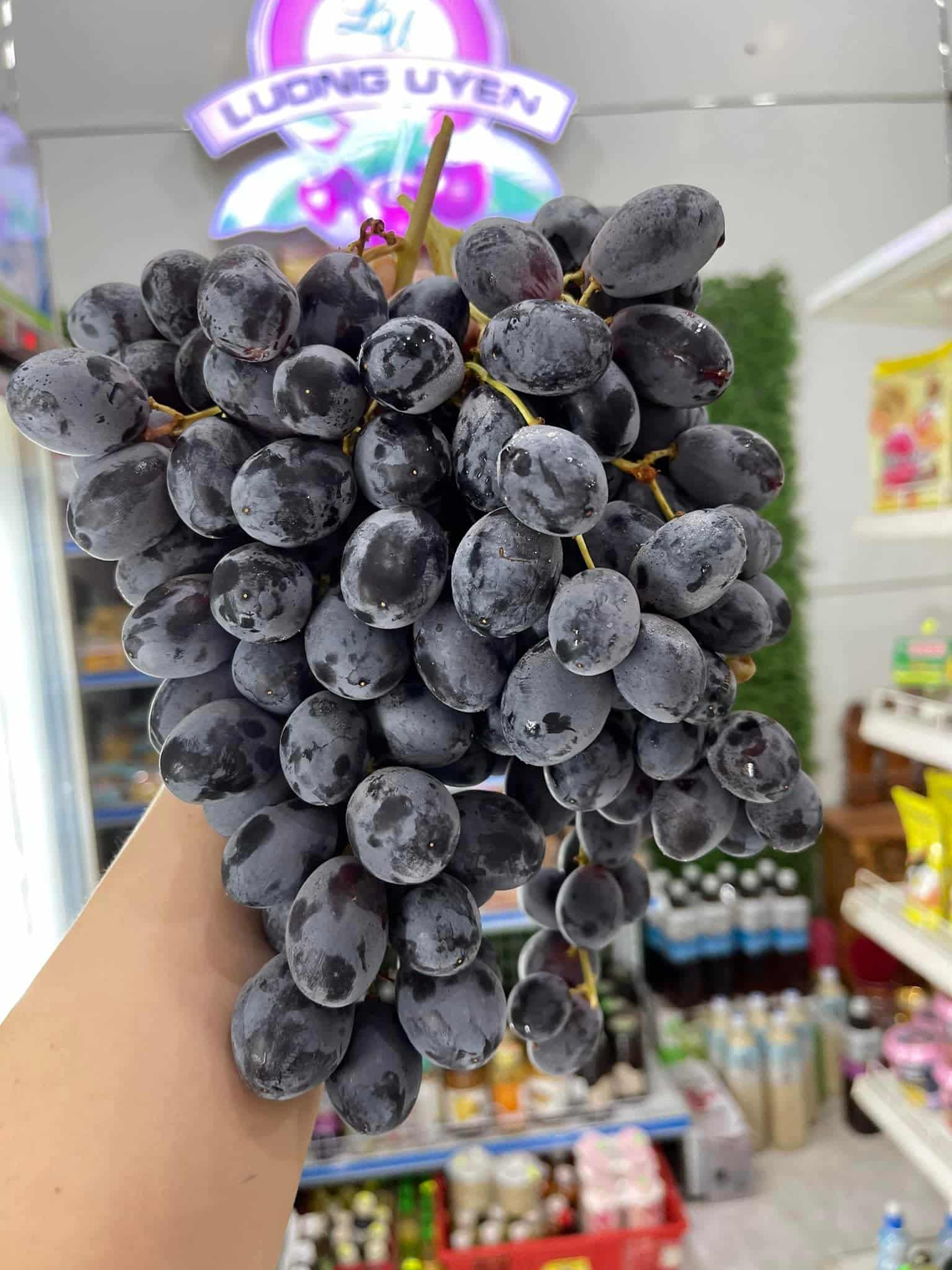 thực phẩm sạch Tây Ninh thực phẩm sạch Tây Ninh