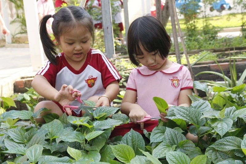 trường quốc tế Tây Ninh Trường Mầm Non Quốc Tế Happy Days