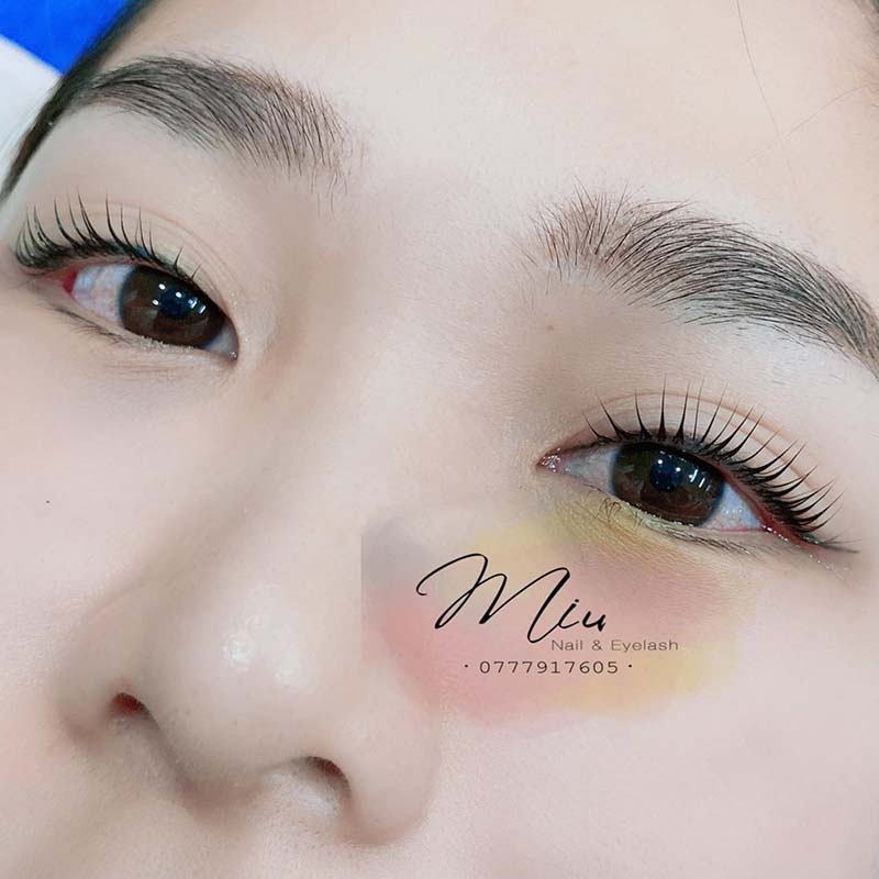 nối mi Quảng Nam