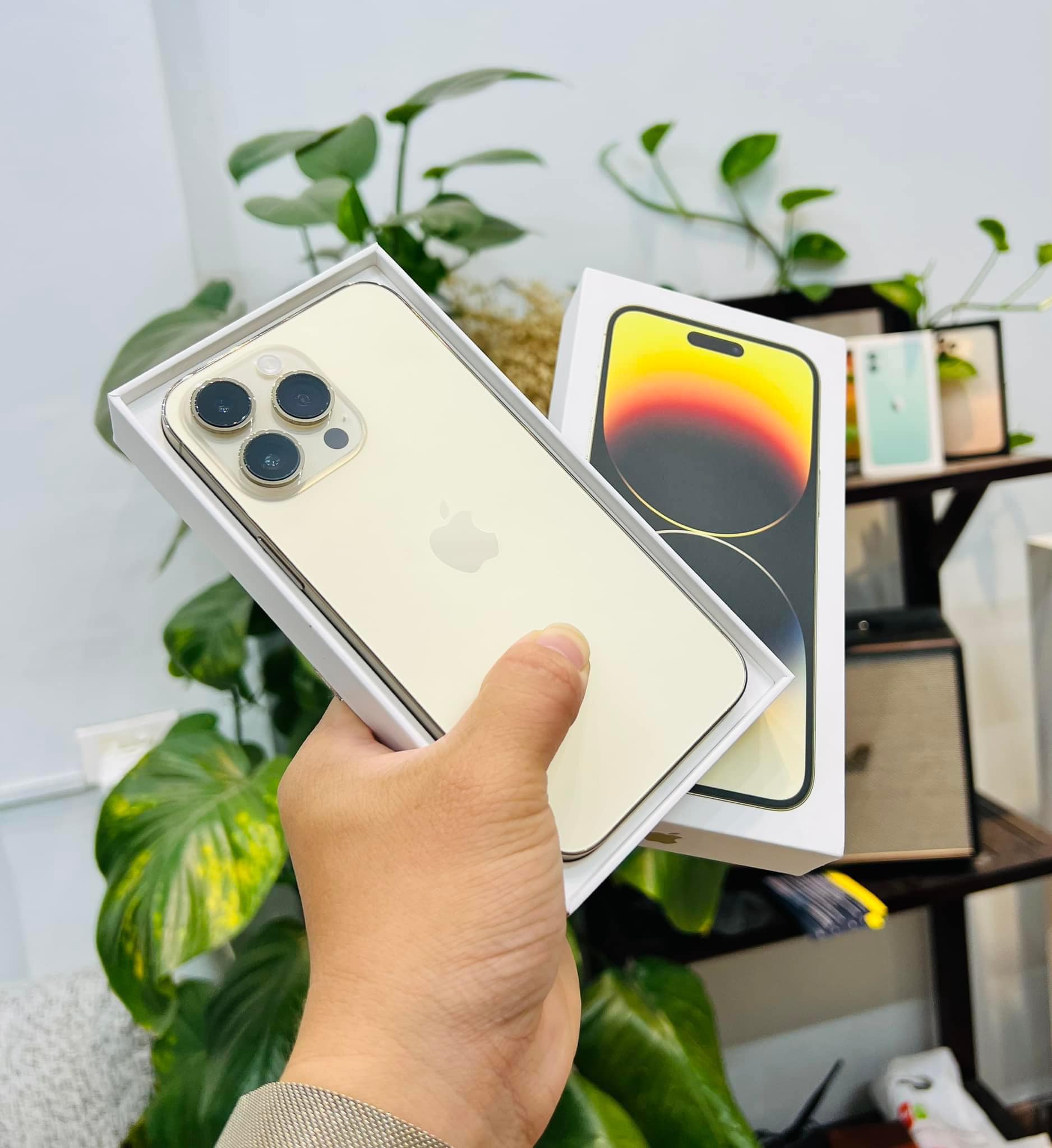 iphone sóc trăng