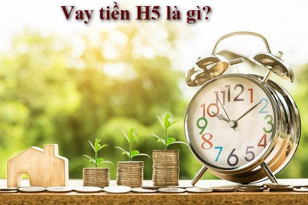 vay h5 3