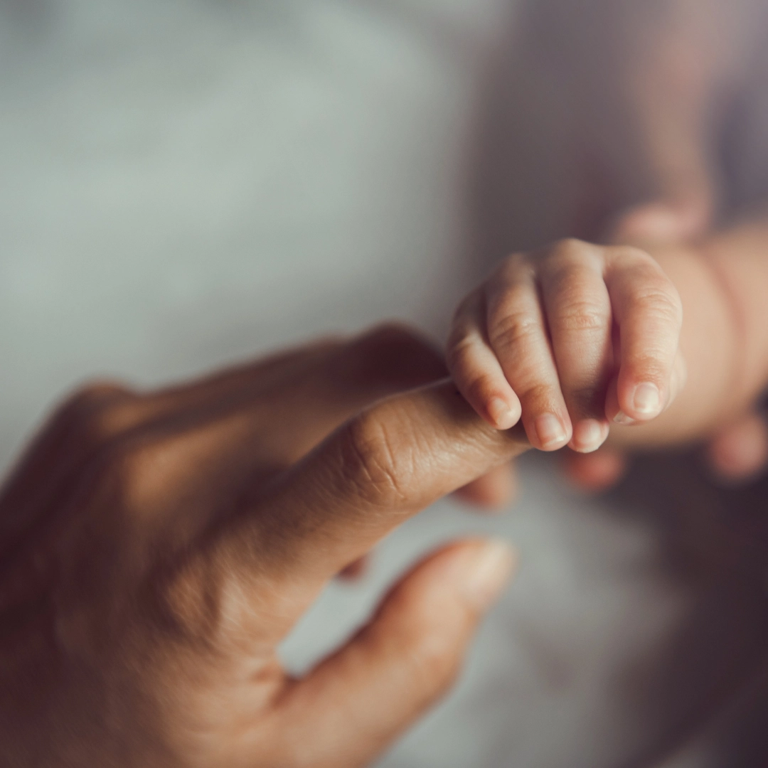 Sữa mẹ: Khi “dòng nhựa sống” không chỉ là dinh dưỡng, mà là bản giao hưởng của sự sống.