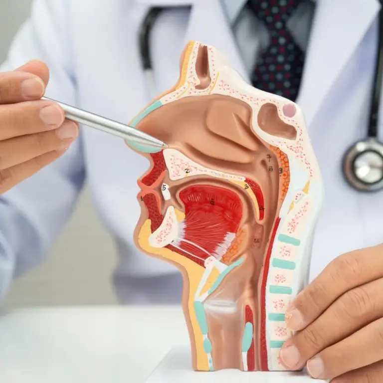 Top 5 Phòng Khám Tai Mũi Họng Tại TPHCM Tận Tâm Và Uy Tín Nhất 2026
