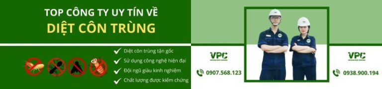 VPC