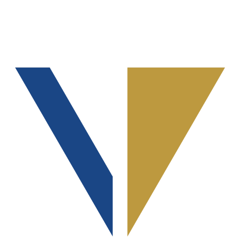 Việt Thái Group