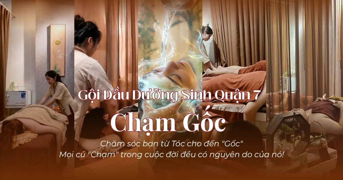 Gội Đầu Dưỡng Sinh Quận 7 Chạm Gốc