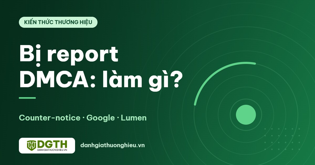 Bị report DMCA: cách gửi phản đối (counter-notice) và khi nào cần thuê dịch vụ